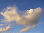 IMGP4526.jpg
