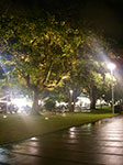 IMGP4598.jpg