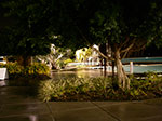 IMGP4600.jpg