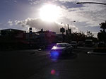 IMGP4614.jpg