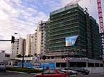 IMGP4626.jpg