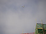 IMGP4632.jpg