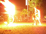 IMGP4641.jpg