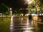 IMGP4713.jpg