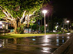 IMGP4744.jpg