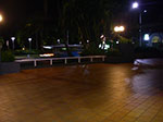 IMGP4771.jpg