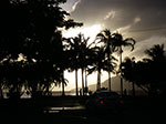 IMGP4784.jpg