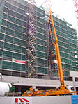 IMGP4801.jpg