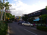 IMGP4810.jpg