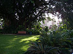 IMGP4813.jpg