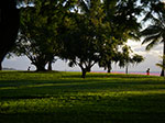 IMGP4879.jpg