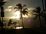 IMGP4881.jpg