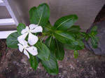 IMGP4888.jpg