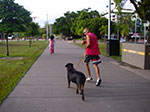IMGP4905.jpg