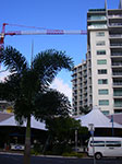IMGP4913.jpg