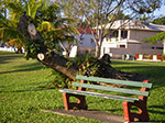IMGP4941.jpg