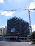 IMGP4948.jpg