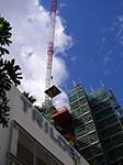 IMGP4955.jpg