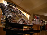 IMGP5028.jpg