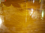 IMGP5116.jpg