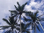 IMGP5137.jpg