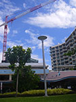 IMGP5138.jpg
