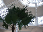 IMGP5176.jpg