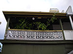 IMGP5185.jpg