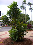 IMGP5186.jpg