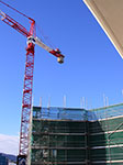 IMGP5207.jpg
