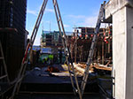 IMGP5212.jpg