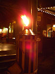 IMGP5444.jpg