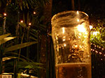 IMGP5449.jpg