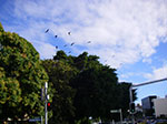 IMGP5492.jpg