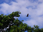 IMGP5494.jpg