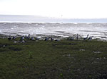 IMGP5647.jpg