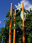 IMGP5679.jpg