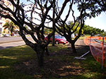IMGP5686.jpg