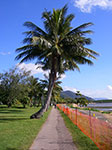 IMGP5696.jpg