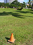 IMGP5698.jpg
