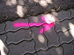 IMGP5722.jpg