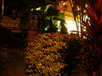 IMGP5742.jpg