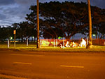 IMGP5743.jpg