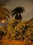IMGP5747.jpg