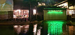 IMGP5753-pan.jpg