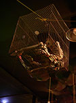 IMGP5777.jpg