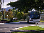 IMGP5788.jpg