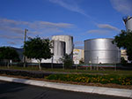 IMGP5827.jpg