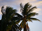 IMGP5868.jpg