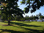 IMGP5913.jpg